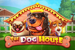 The Dog House — EZCASH
